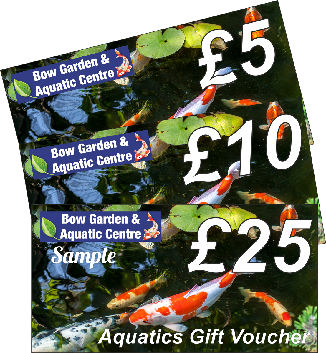 Bow Aquatic Centre Gift Voucher Bow Garden Centre