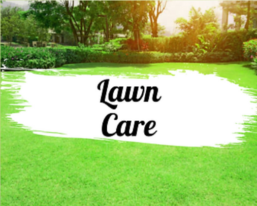 Lawn Care